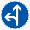 Vorschriftzeichen 214-10 Vorgeschriebene Fahrtrichtung geradeaus oder links