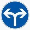 Vorschriftzeichen 214-30 Vorgeschriebene Fahrtrichtung rechts oder links